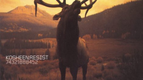 Kosheen Resist