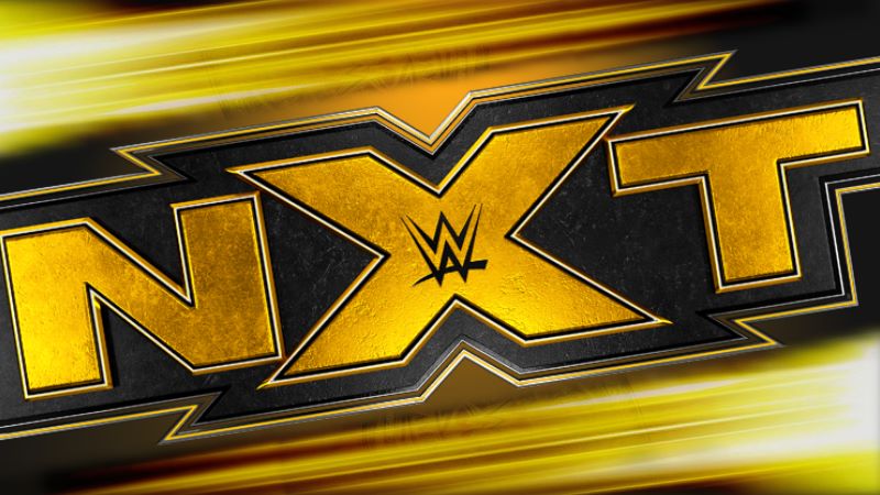 NXT Black and Gold Logo