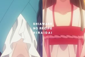 HIRAIDAI Shiawase no Recipe Cover